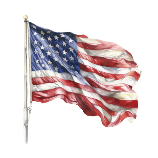 AMERICAN FLAG 4TH OF JULY DTF TRANSFER - 4TH26