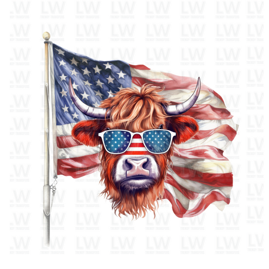 AMERICAN FLAG -  4TH OF JULY DTF Transfer