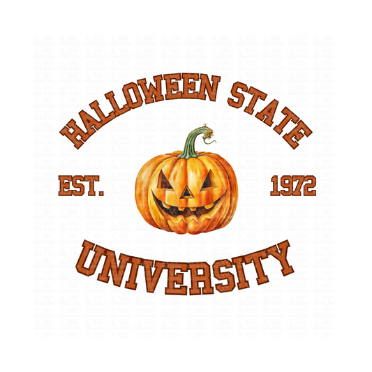 HALLOWEEN STATE UNIVERSITY DTF Transfer